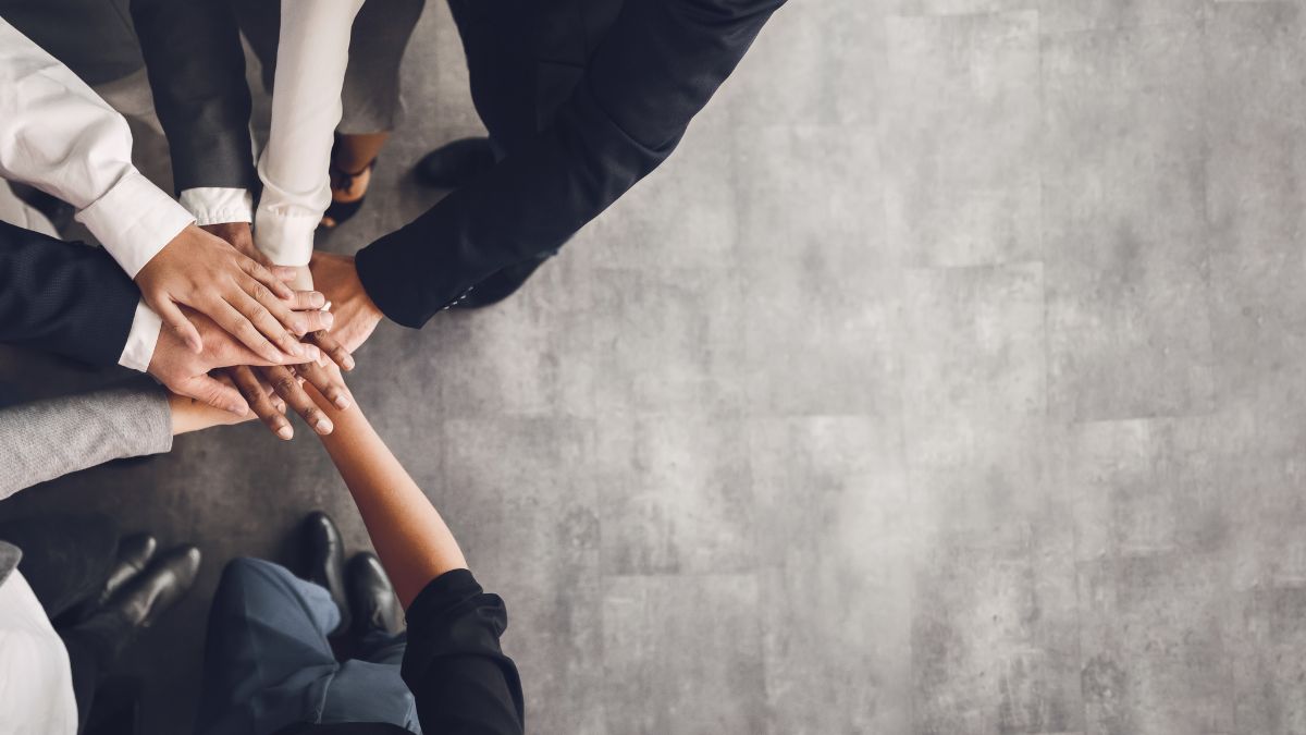 Cultivating High-Performance Teams