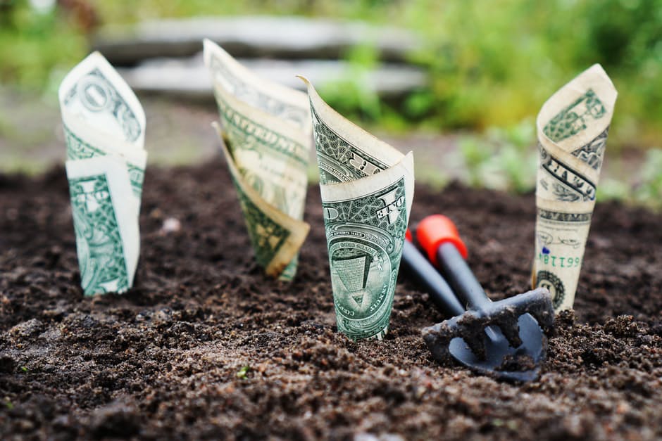 Take your cash flow on a date and get to know it a bit better